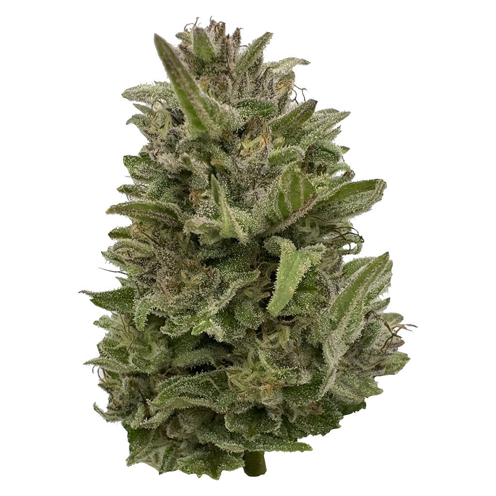 Pretty Chill 28g Dried Flower