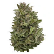 Pretty Chill | 28g | Deelish