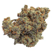 Qwest | Lazer Jet | 7g