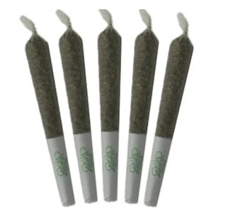 QUAD Farmers - RIPPER GLITTER  - 5 x 0.5g