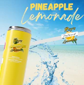 Ray's - Lemonade - Pineapple Lemonade 355ml
