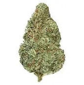 Back Forty - Chemzilla 7G