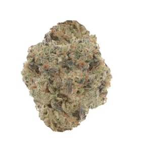 Buzz - AGENT ORANGE LTO - 14