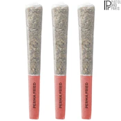 Pistol and Paris | Perma Fried Pre-rolls | 3x0.5g PROMO ~