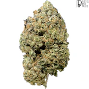 Pistol and Paris | Pink Goo Craft Flower | 3.5g