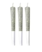 Pineapple Buds | Volcanic Haze Pre-Roll | 3 x 0.5 g
