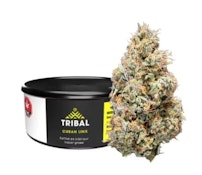 Tribal - Cuban Link 3.5G