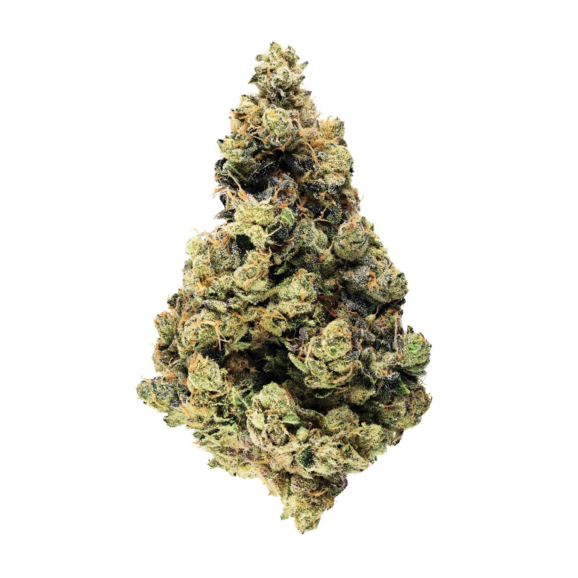 La Bomba 7g