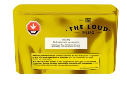 The Loud Plug - DOLCE MIA - 28
