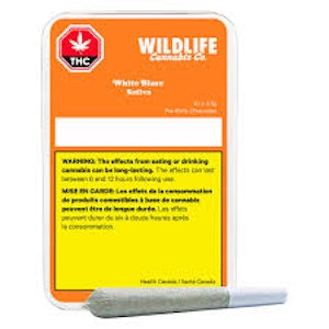 Wildlife - White Blaze 10 x 0.3g Pre-Rolls