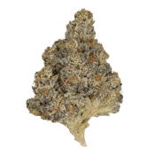 Frosted Lemons 28g Dried Flower