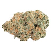 Big Bag O' Buds - Purple Cherry Punch - 3.5g