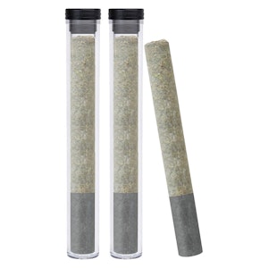 Dazed & Infused - Dazed & Infused - Diesel Orchid Infused Pre-Roll - 3x0.5g