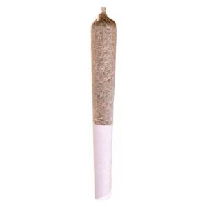Station House - Station House - Pink Kush Pre-Roll - 1x1g