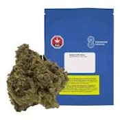 Blueberry Cupcake 14g Dried Flower