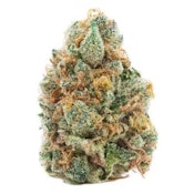 Vanilla Cream 14g Dried Flower