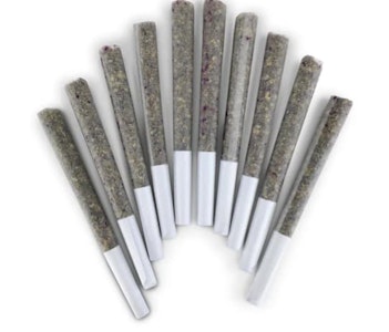 BC Doobies - NIGHT SCHOOL PRE-ROLLS - 10 x 0.5g