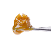 Pineapple Garlic Live Rosin 1g