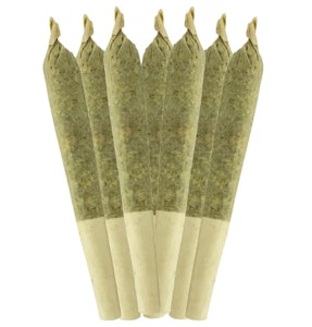 Sheeesh! - Key Lime Pie Pre-Rolls | 7x0.5g