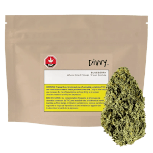 Divvy - Blueberry Smalls (28g) - Divvy