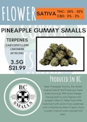 3.5G - BC SMALLS - PINEAPPLE GUMMY SMALLS