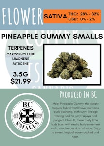 BC Smalls - 3.5G - BC SMALLS - PINEAPPLE GUMMY SMALLS
