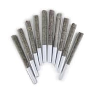 BC Doobies - NIGHT SCHOOL