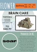 7G - SOAR - BRAIN CAKE