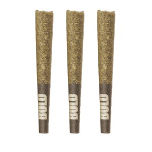 BOLD Growth - Rocket Fuel (0.5g x 3PR) - BOLD