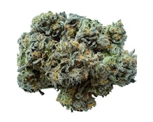 VALHALLA FLWR | MKU X JEALOUSY LTO - 14