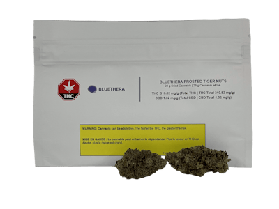 BlueThera Biologic - Frosted Tiger Nuts