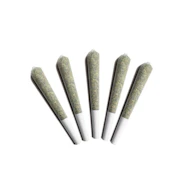 Gladstone - Arctic Sun 5x0.5g (D14)