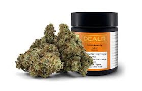 DEALR - 7g