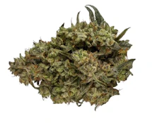 CBD Runtz 3.5g