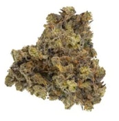 Blue Dragon LTO - 14g