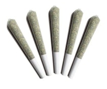 ARCTIC SUN PR | GLADSTONE | 5 x .5g