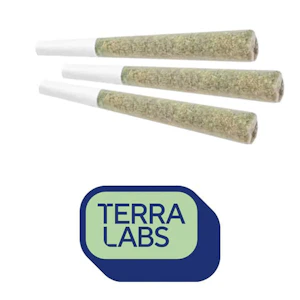 TERRA LABS INC - BLUEBERRY AVALANCHE 3X.5G