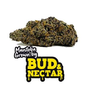 BUD AND NECTAR - WASABI 3.5G