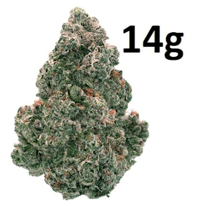 Back Forty - LIQUID IMAGINATION - 14G