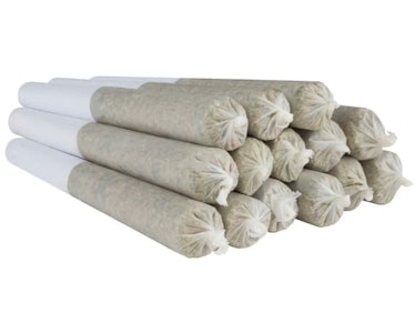 SHRED - Tropic Thunder J's Pre-Rolls | 14x0.5g