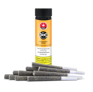 BC Doobies - NIGHT SCHOOL PRE-ROLLS - 5