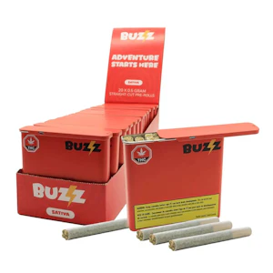 BUZZ - HAZE SATIVA | 20 x .5g