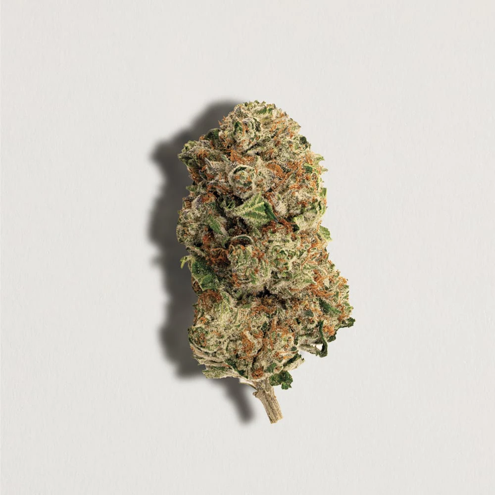 PURE SUNFARMS - Pink Rhino 14g Dried Flower Main Image