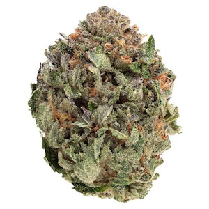 1964 - Comatose 3.5g