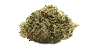 Gluerangutan 7g Dried Flower by Good Buds