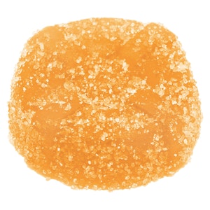 No Future - Citrus Chaos - Stupidly Sour THC Gummy 1 Pack