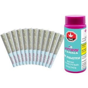 Northern Canna - The Collective 12x0.5g Pre-Rolls
