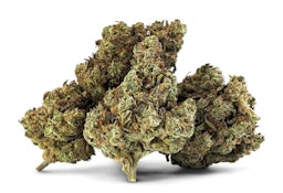 ENERGIZER BUNNIES - 7g