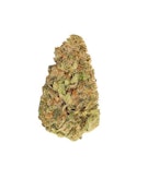 WHERE'S MY BIKE - 28 GRAMS