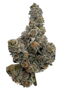 Amani Craft Cannabis - Gastro Pop 28